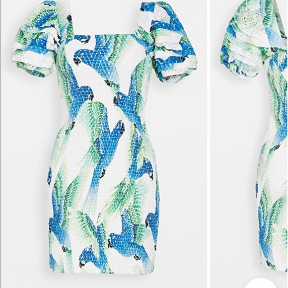 FARM Rio Araras 👗 Dress! - Picture 4 of 4